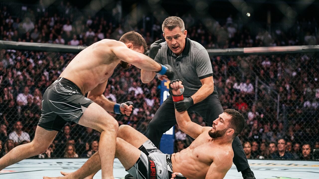 How referees decide to stop a fight